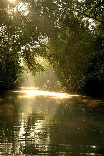 Sundarbany