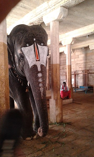 Vaithamanidhi Perumal Temple