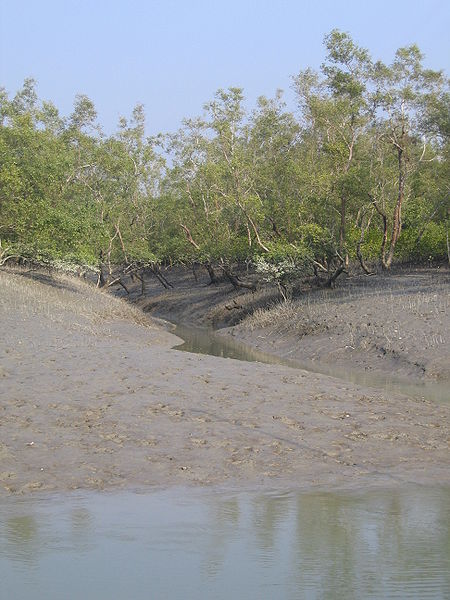 Parque nacional de Sundarbans