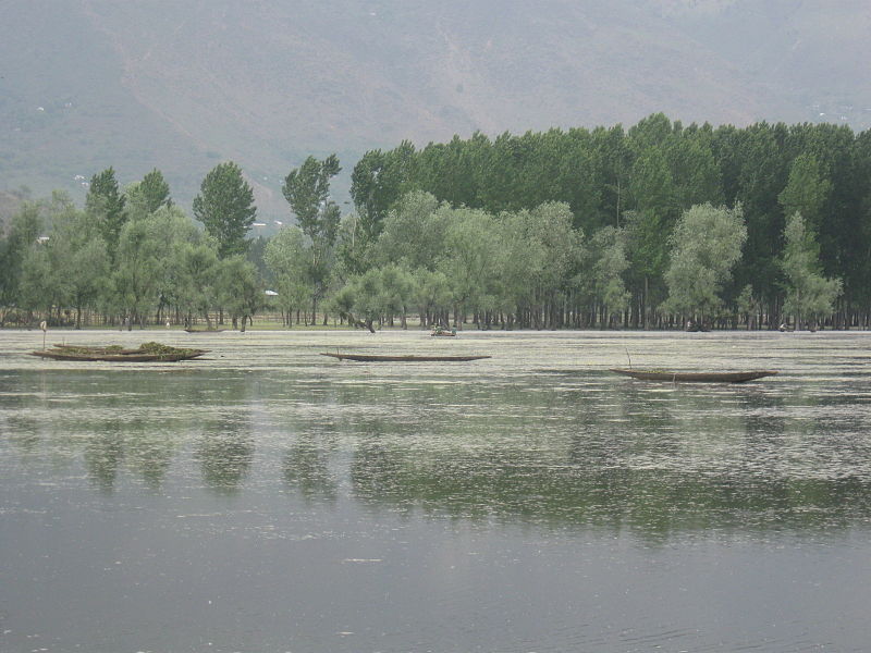 Lago Wular