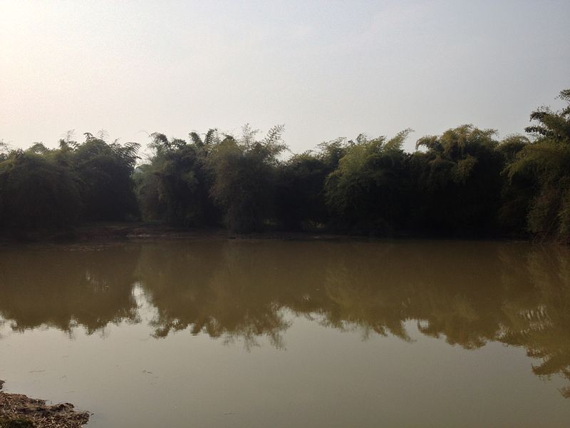 Chandaka Elephant Sanctuary