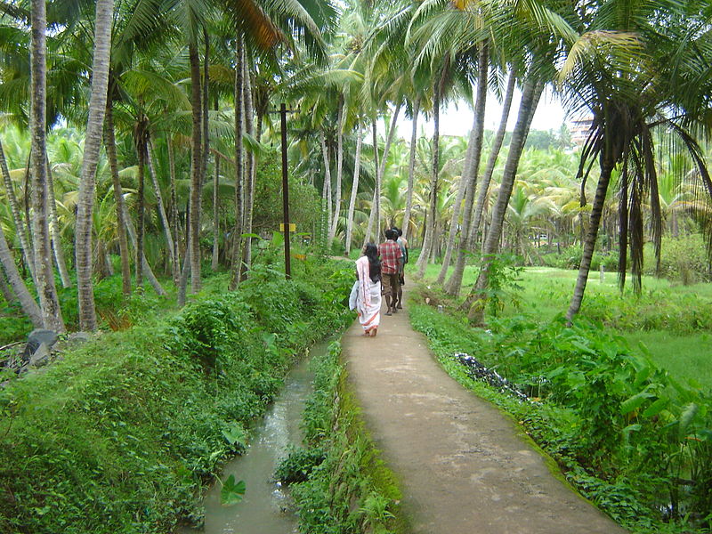 Kovalam, Thiruvananthapuram