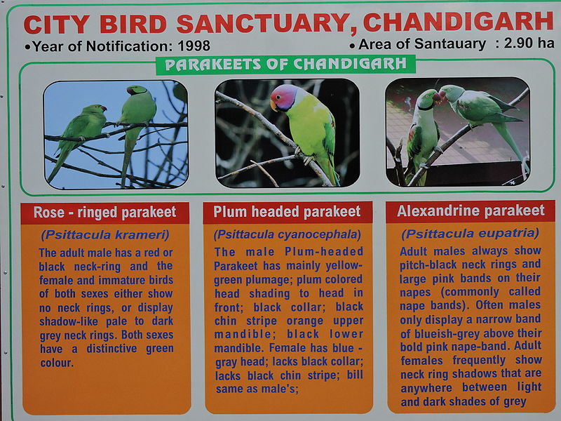 Parrot Bird Sanctuary