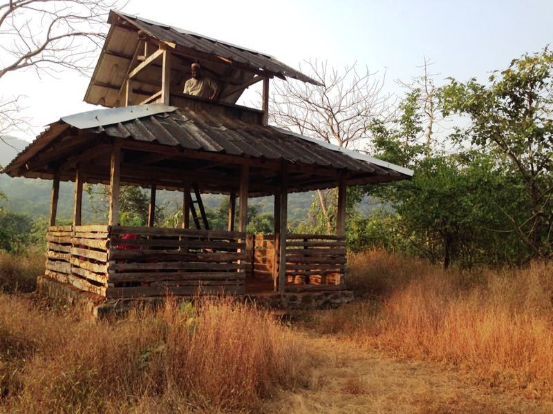 Karnala Bird Sanctuary