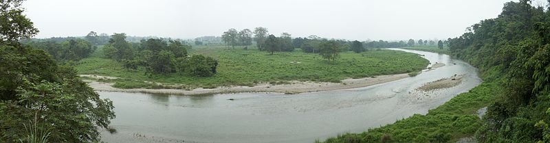 Park Narodowy Gorumara
