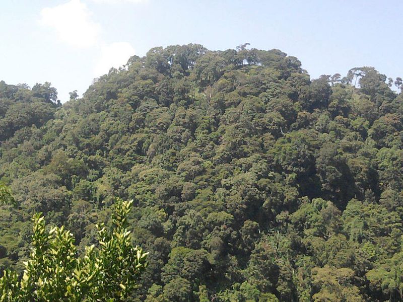 Jampui Hills