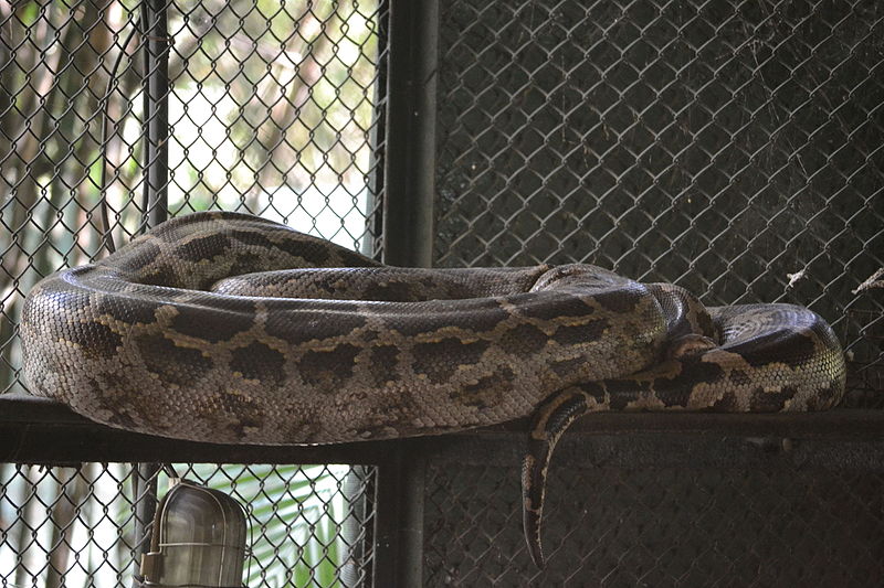 Rajiv Gandhi Zoo