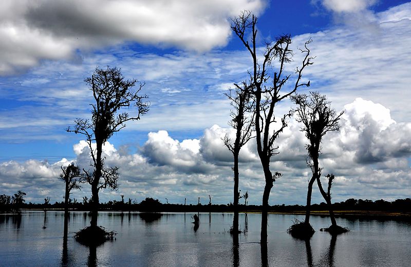 Parque nacional de Dibru-Saikhowa