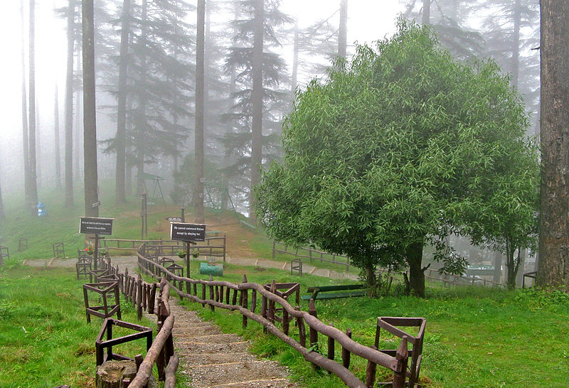 Dhanaulti