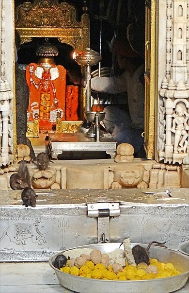 Temple de Karni Mata
