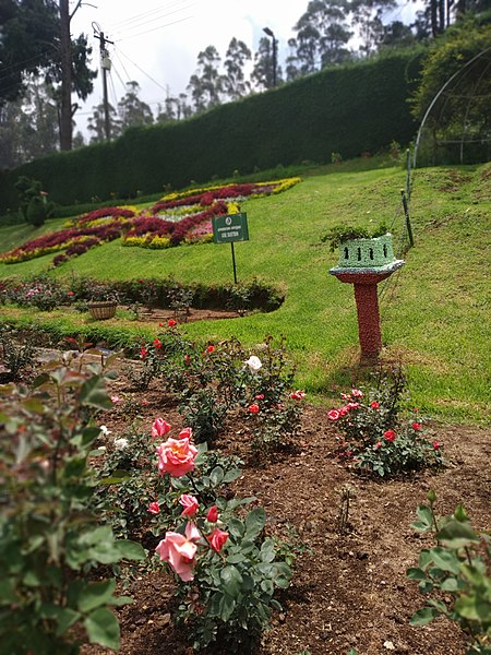 Rose Garden