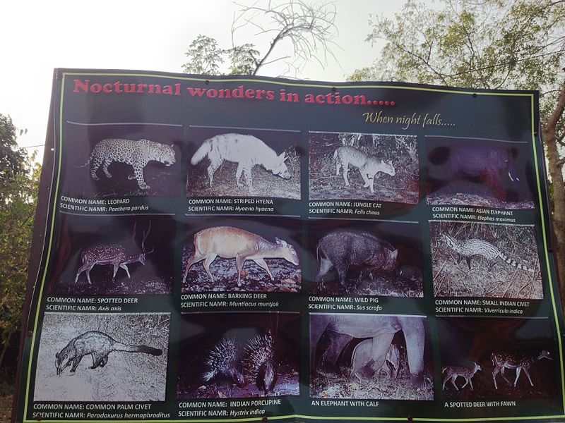 Chandaka Elephant Sanctuary