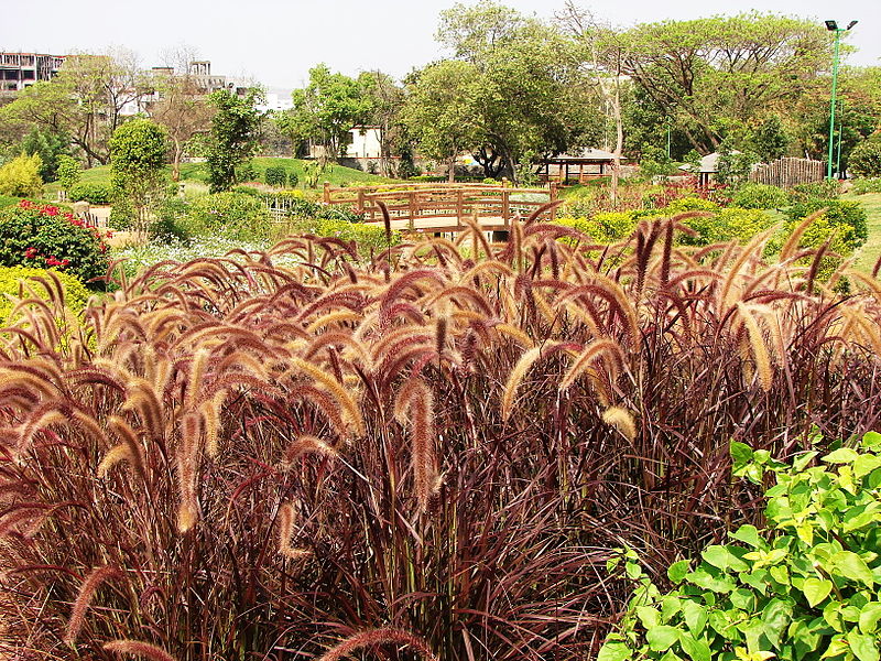 Pu La Deshpande Garden