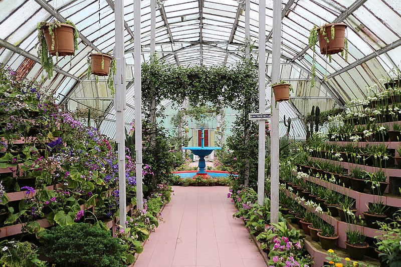 Jardin botanique de Darjeeling