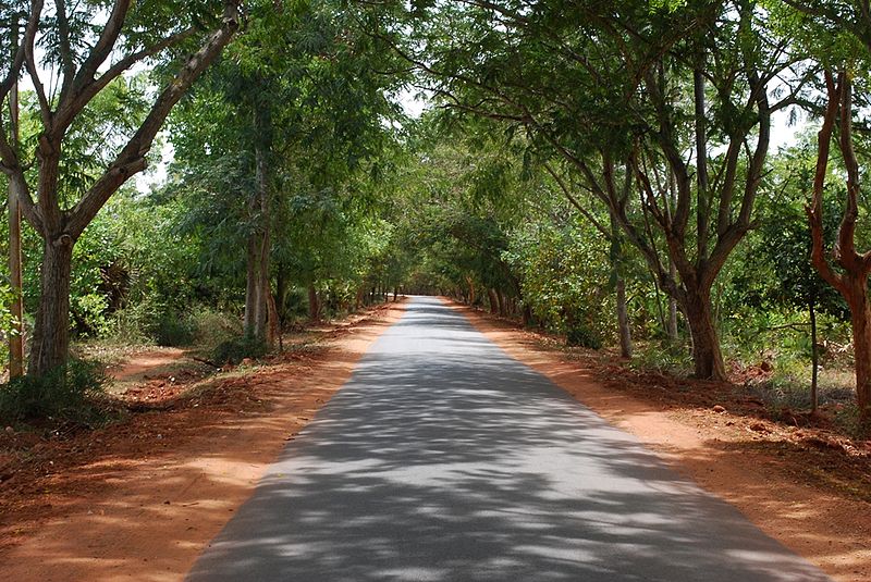 Auroville