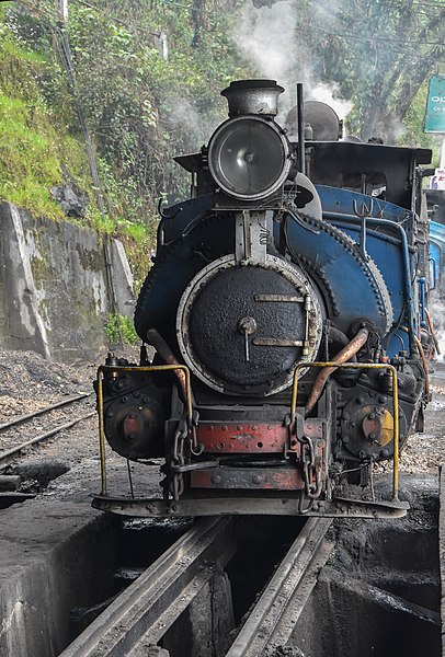 Ferrocarril Darjeeling del Himalaya