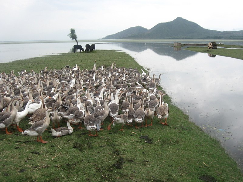 Lago Wular