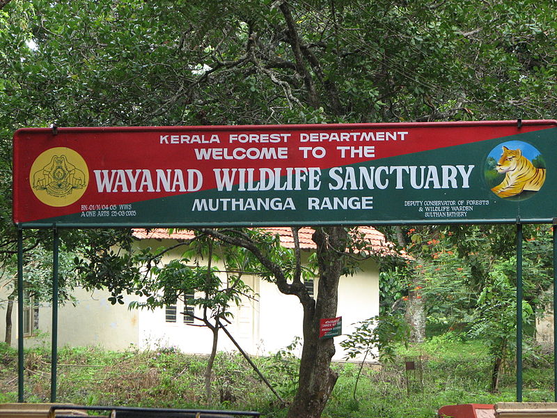 Sanktuarium Dzikiej Przyrody Wayanad