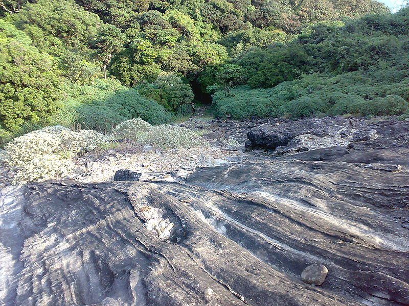 Pushpagiri Mountain