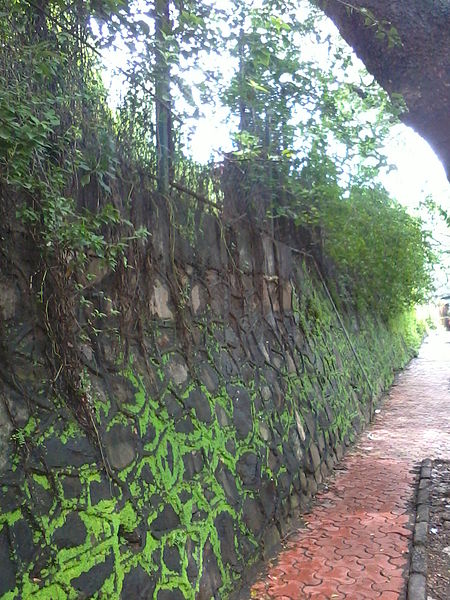 Sion Hillock Fort