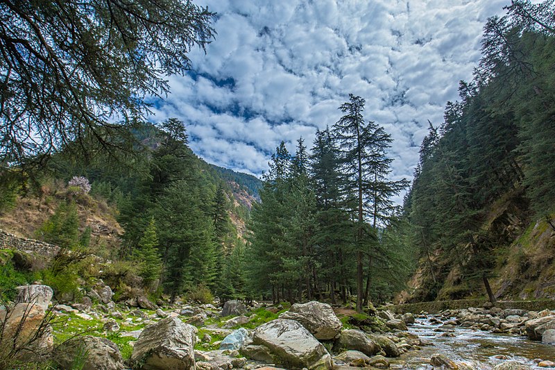 Kasol