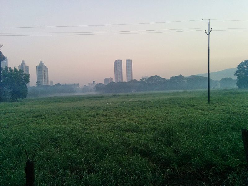 Aarey Forest