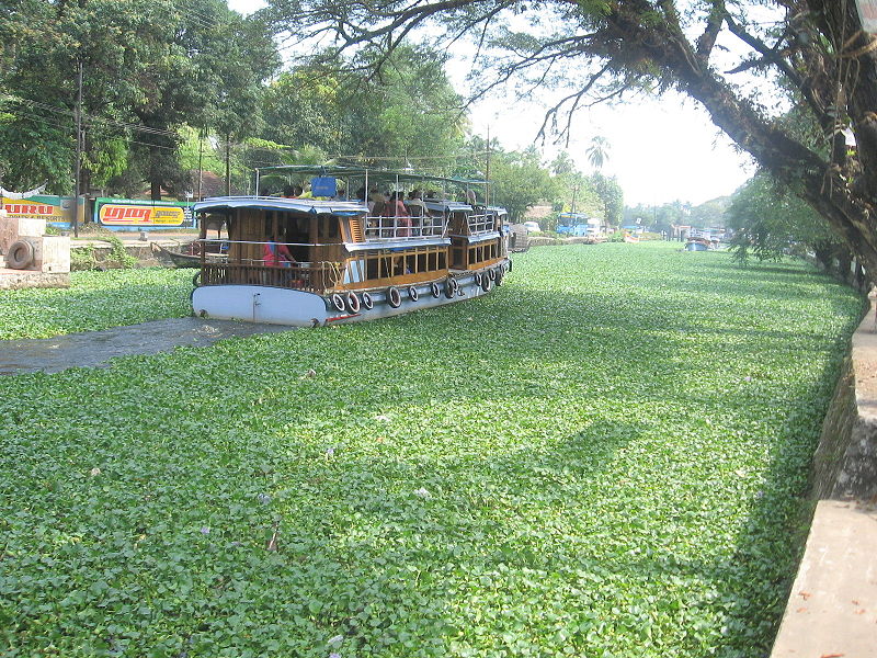 Kerala Backwaters