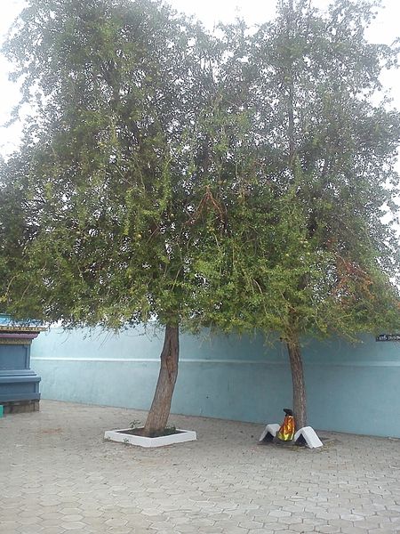 Akshayapureeswarar Temple