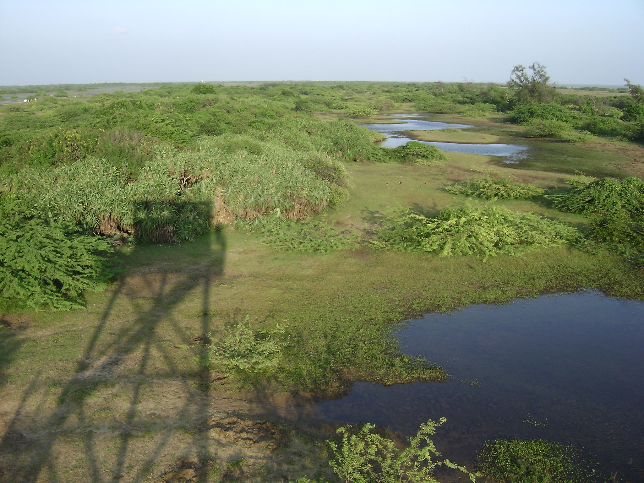 Vedaranyam, Inde