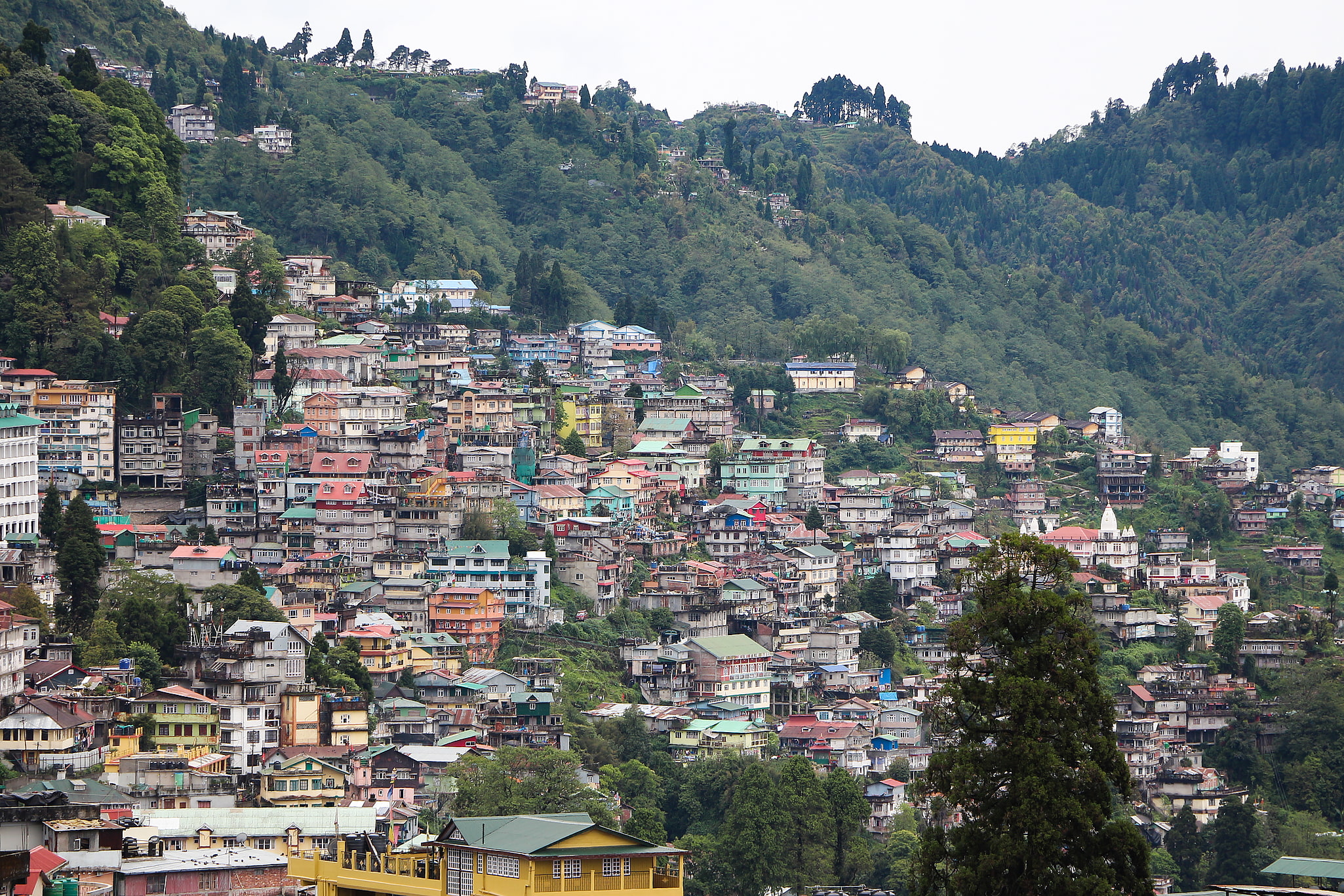 Darjeeling, Inde