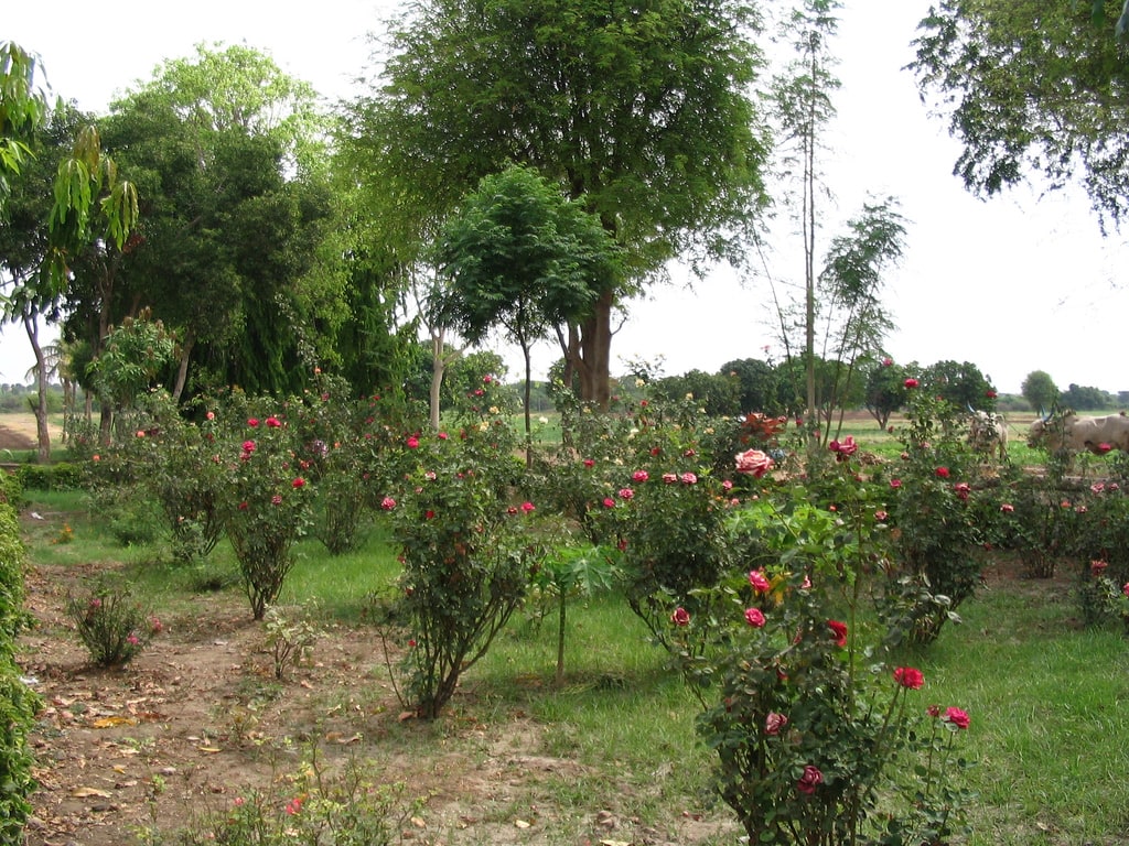 Ranjangaon, India