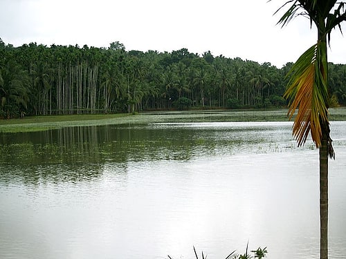 Manjeri, Inde