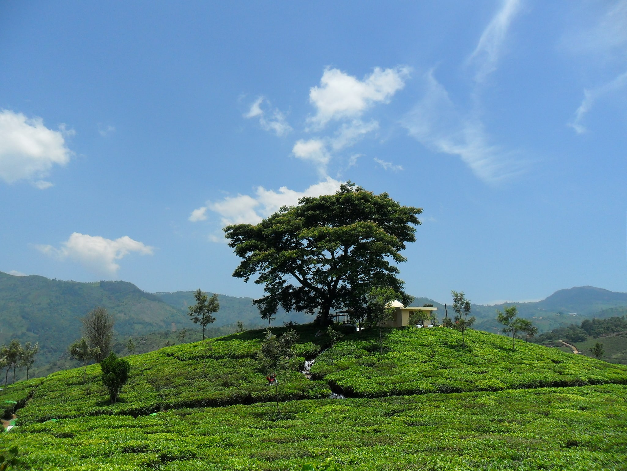 Kotagiri, Indie