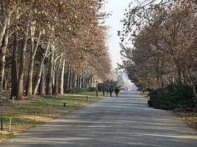 National Botanical Garden of Iran