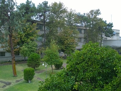 universidad de shiraz