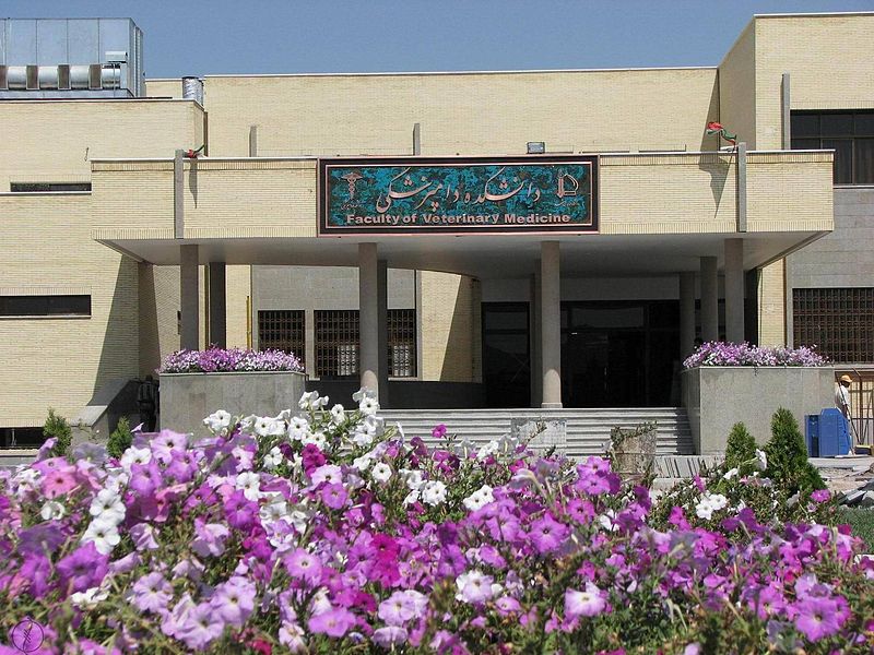 Ferdowsi University of Mashhad