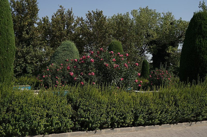 Laleh-Park