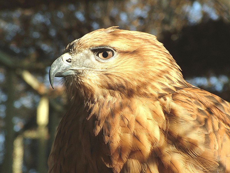 Tehran Zoological Garden