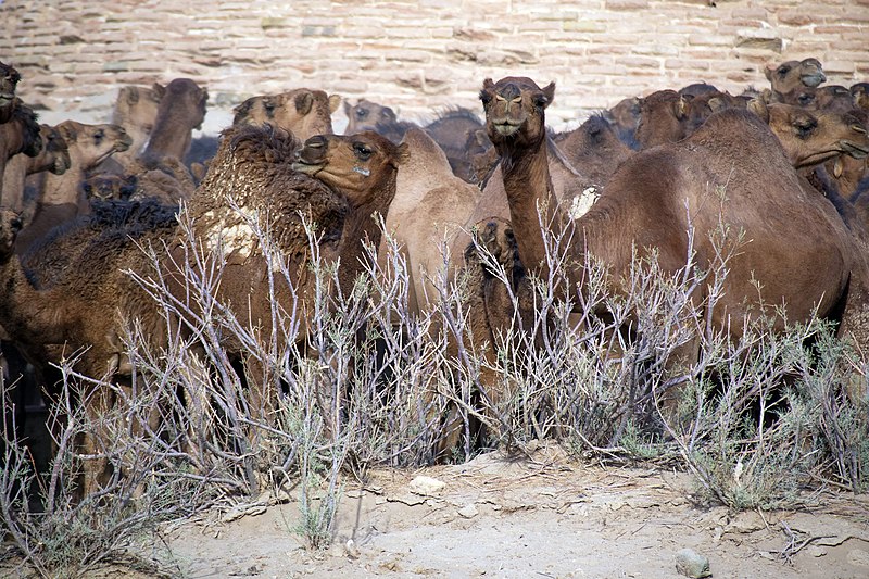 Parque nacional Kavir