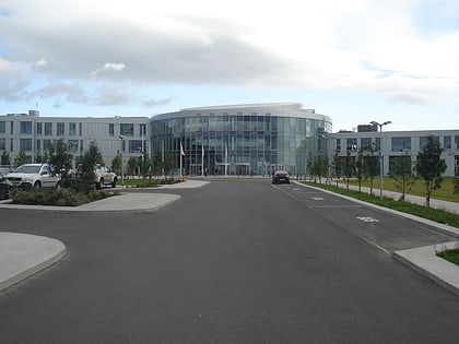 reykjavik university