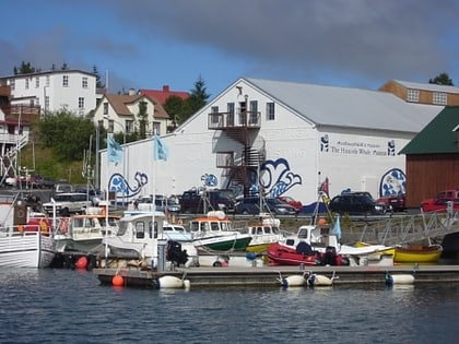 husavik whale museum