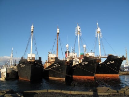 Old Whaling Ships