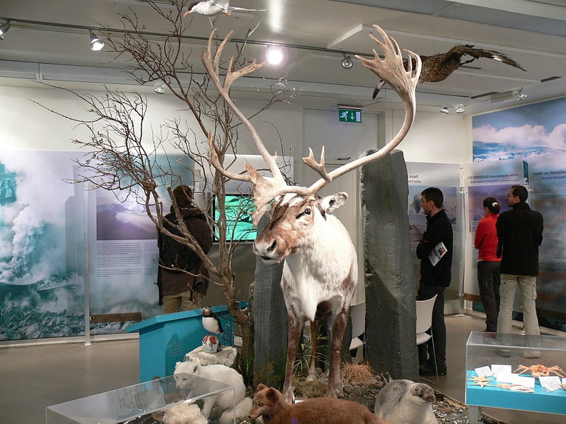 hofn glacier museum