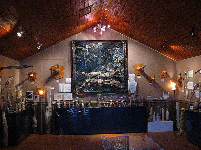 Isländisches Phallusmuseum
