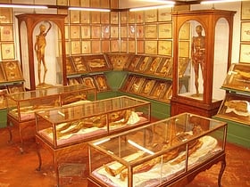 Musée de la Specola