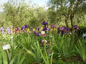 jardin des iris florence