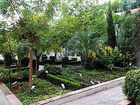 giardino della minerva salerne