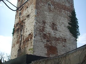 torre di santagnese pisa