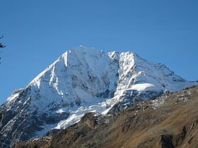 gran zebru park narodowy stelvio