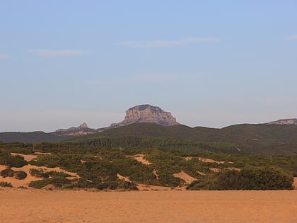 Mount Arcuentu